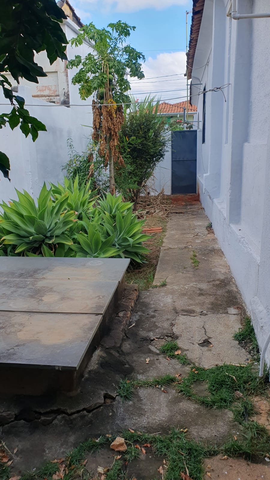 Casa Casa