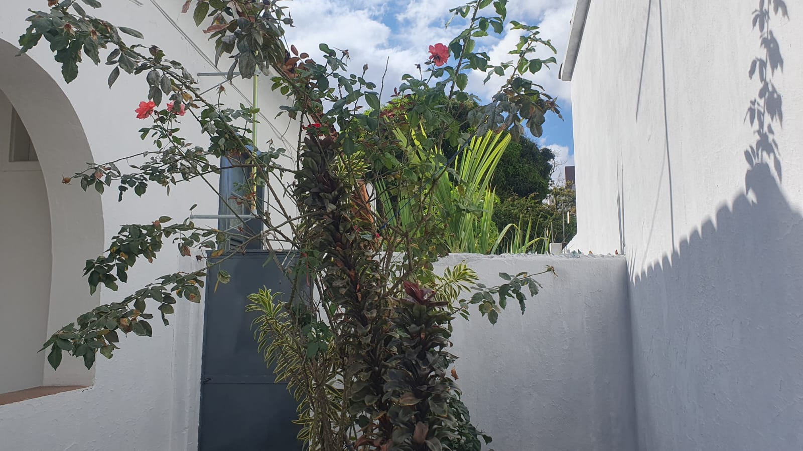 Casa Casa